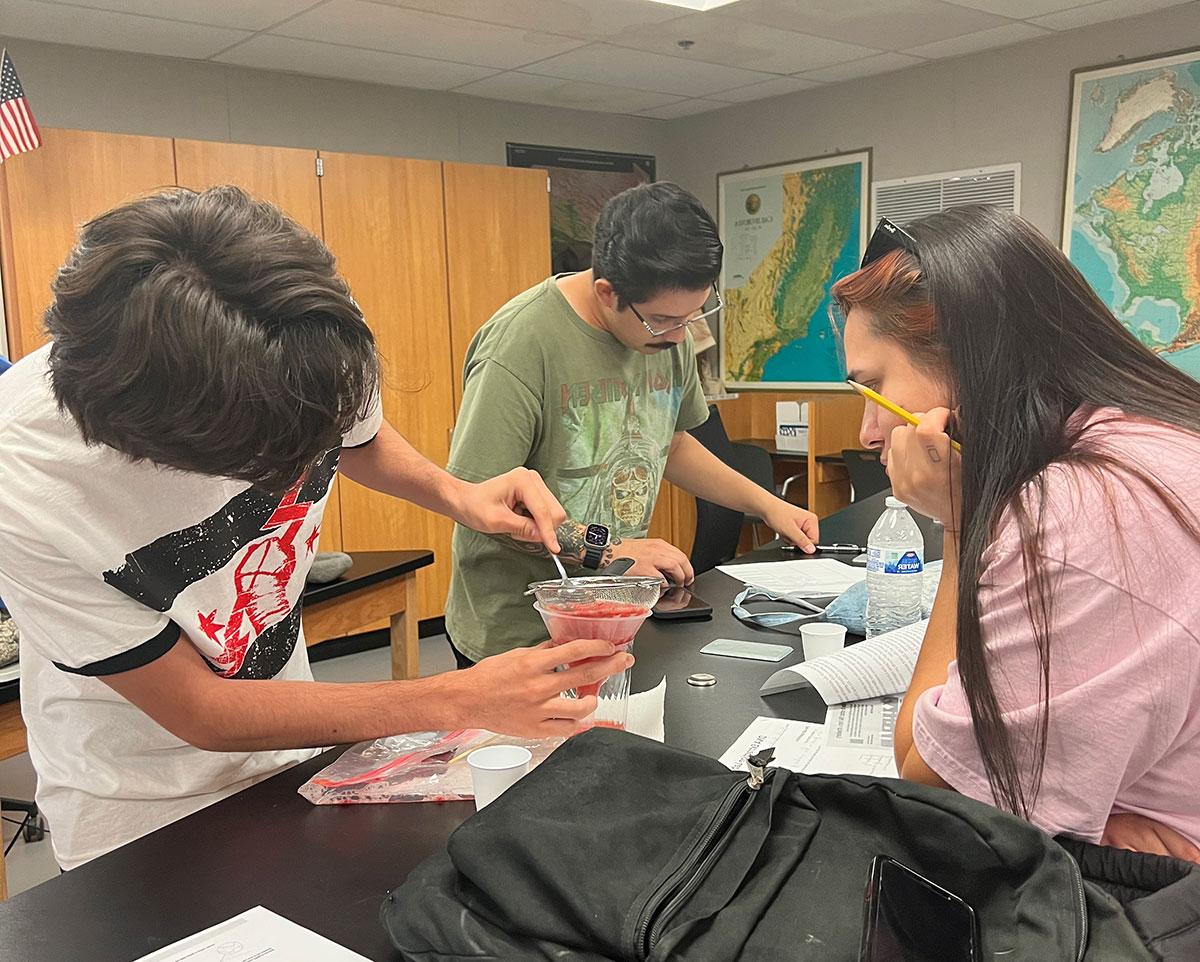 Students in lab